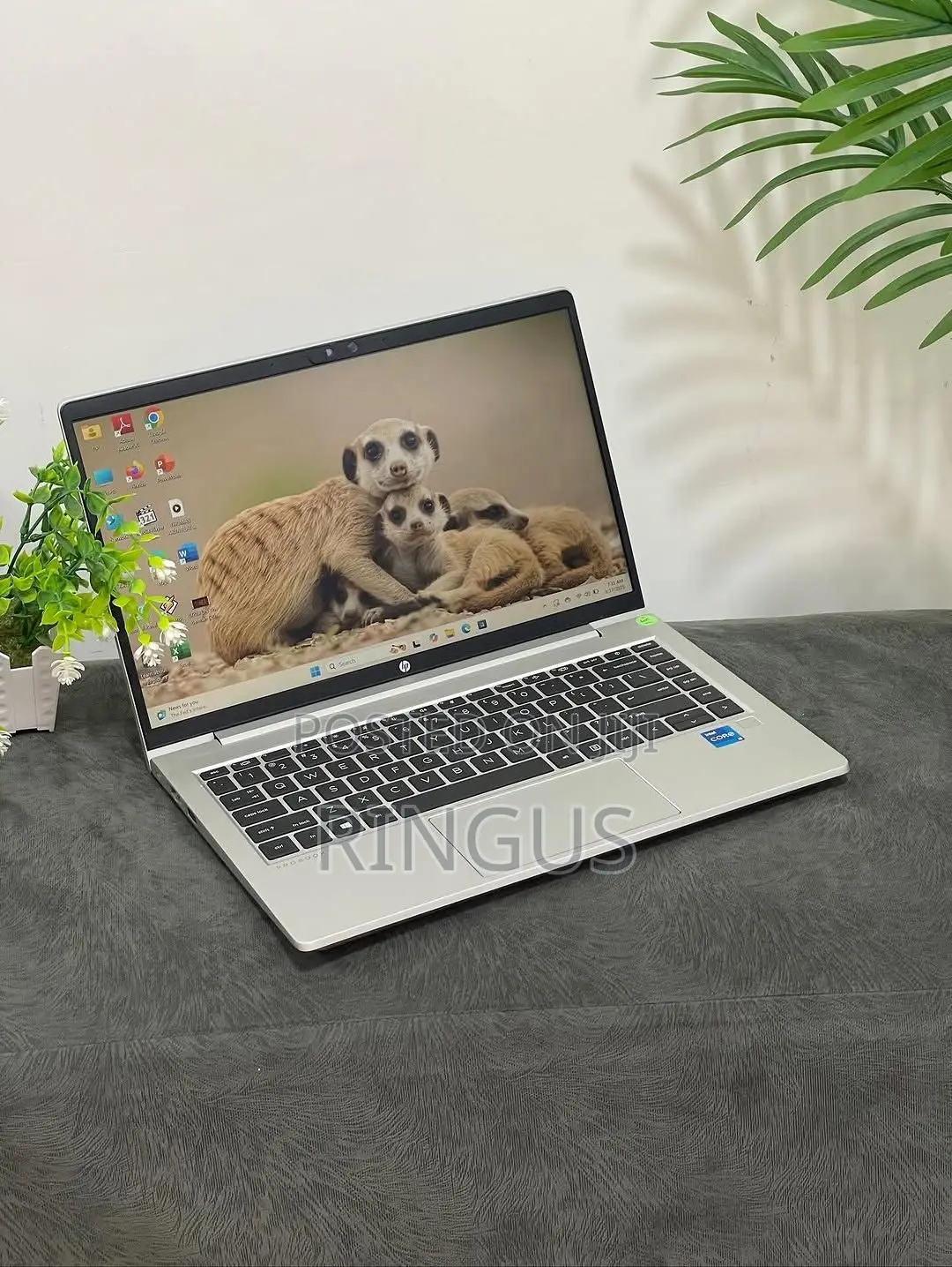 New Laptop HP ProBook 640 G8 8GB Intel Core i5 SSD 256GB