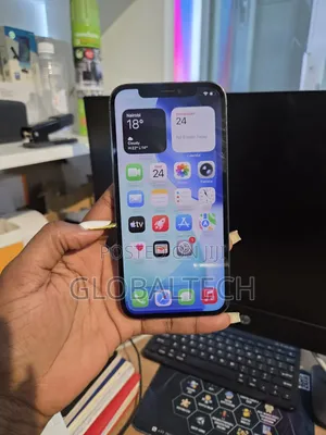 Apple iPhone 12 Pro 256 GB Gray