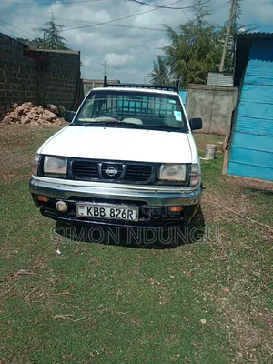 Nissan Hardbody 2002 White