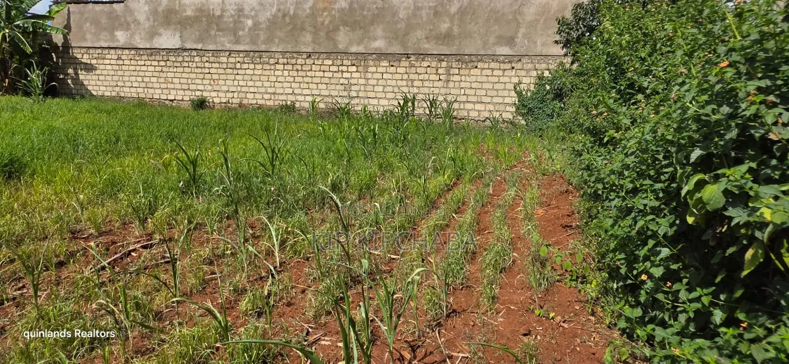 Prime Commercial Plot for Sale in Kimumu Ndovu in Eldoret