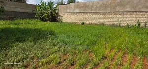 Prime Commercial Plot for Sale in Kimumu Ndovu in Eldoret