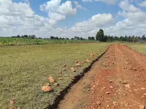 Moiben Junction Prime Plots