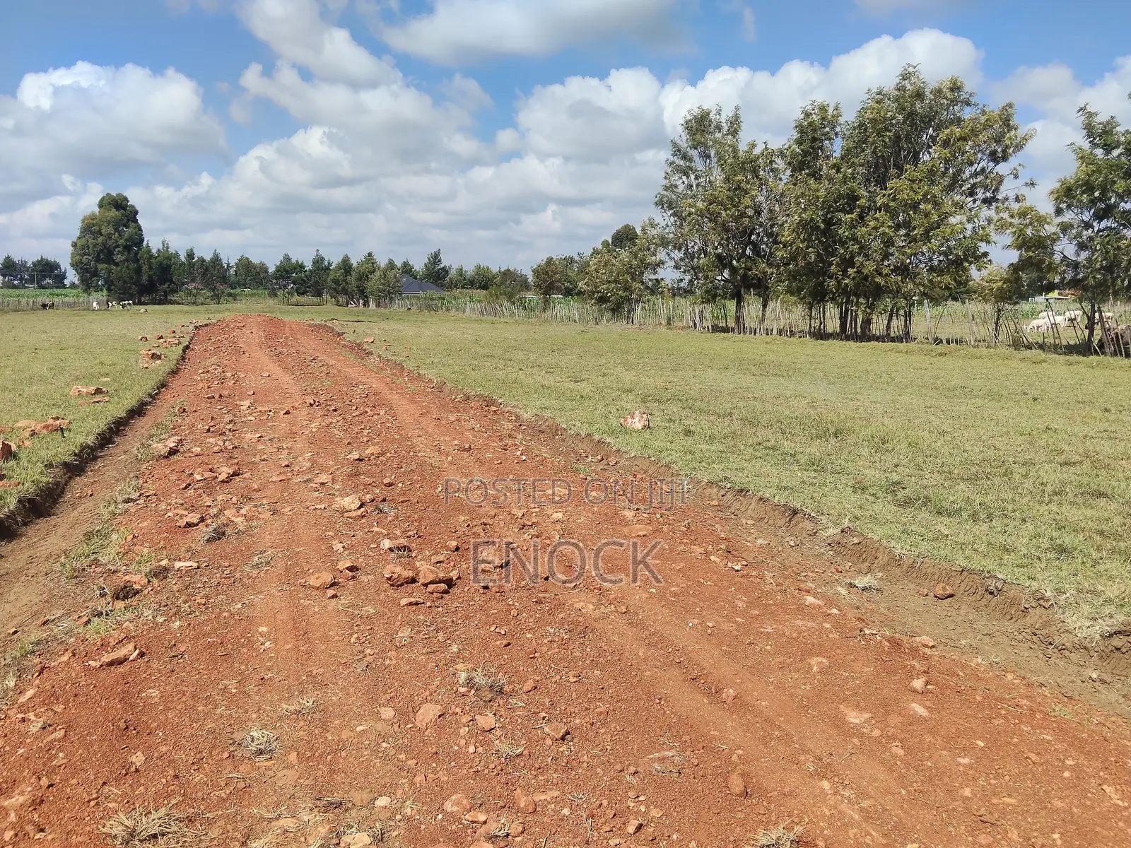 Moiben Junction Prime Plots