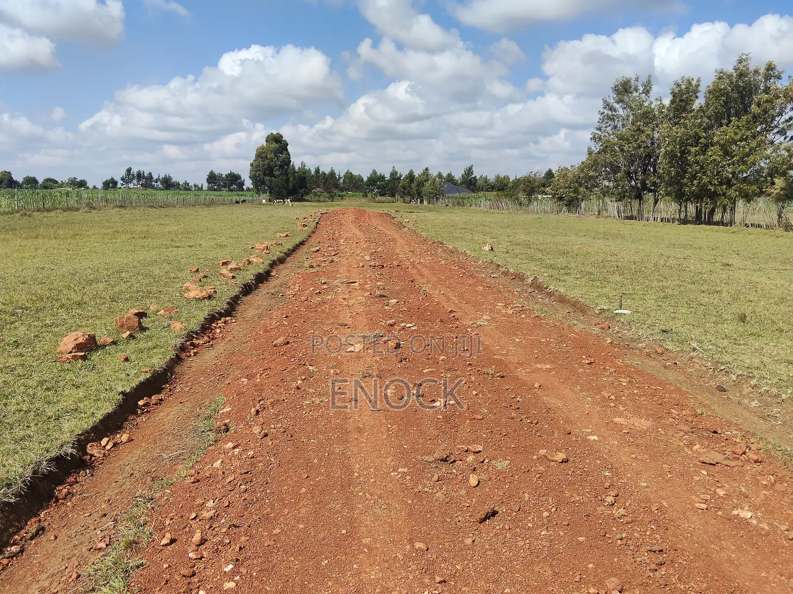 Moiben Junction Prime Plots
