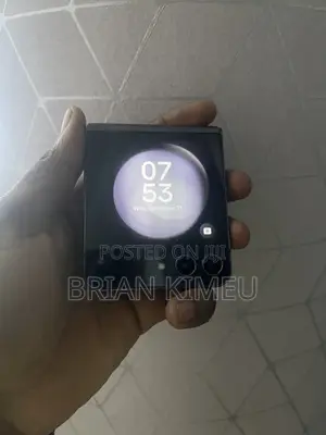 Samsung Galaxy Z Flip 5 256 GB Black