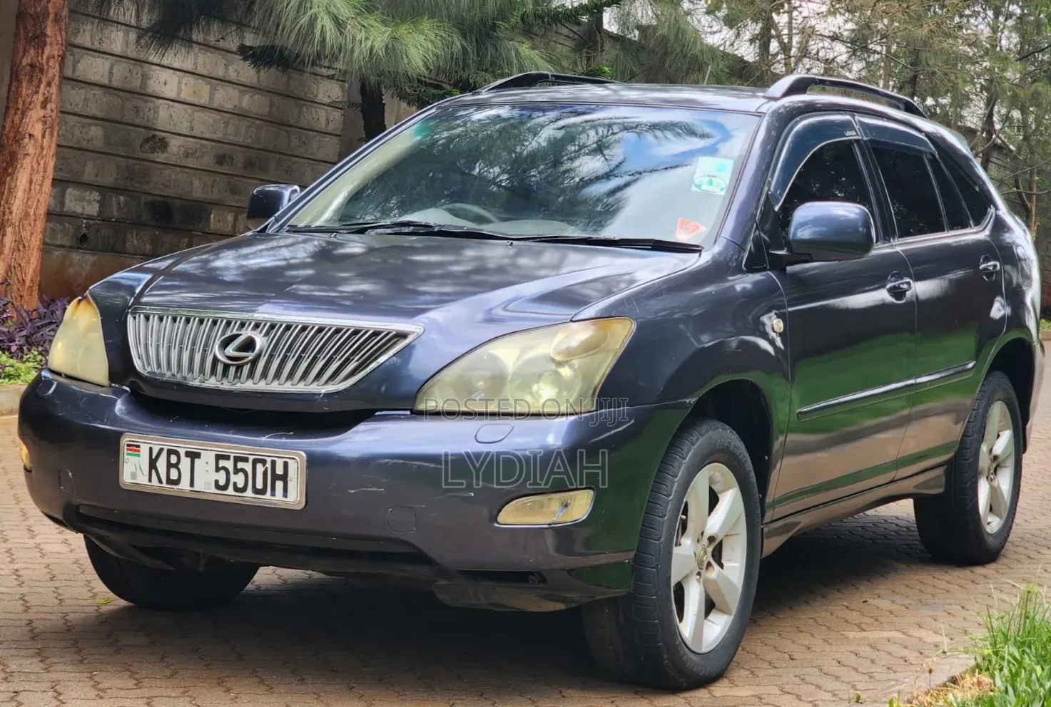 Lexus RX 2005 Blue