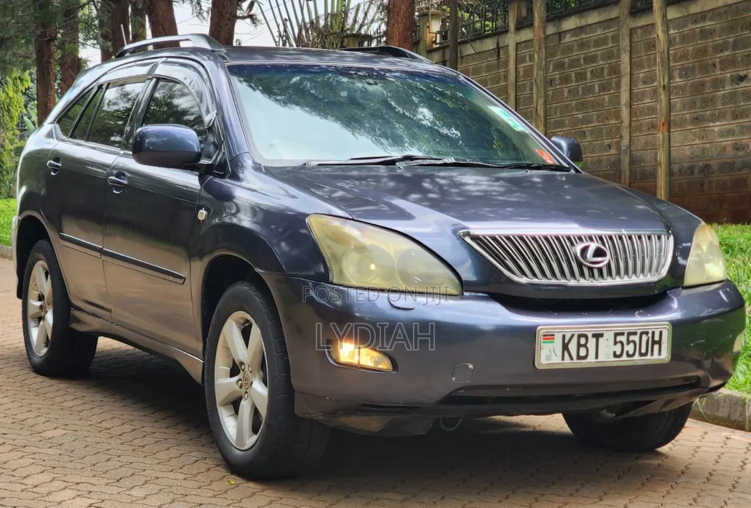 Lexus RX 2005 Blue