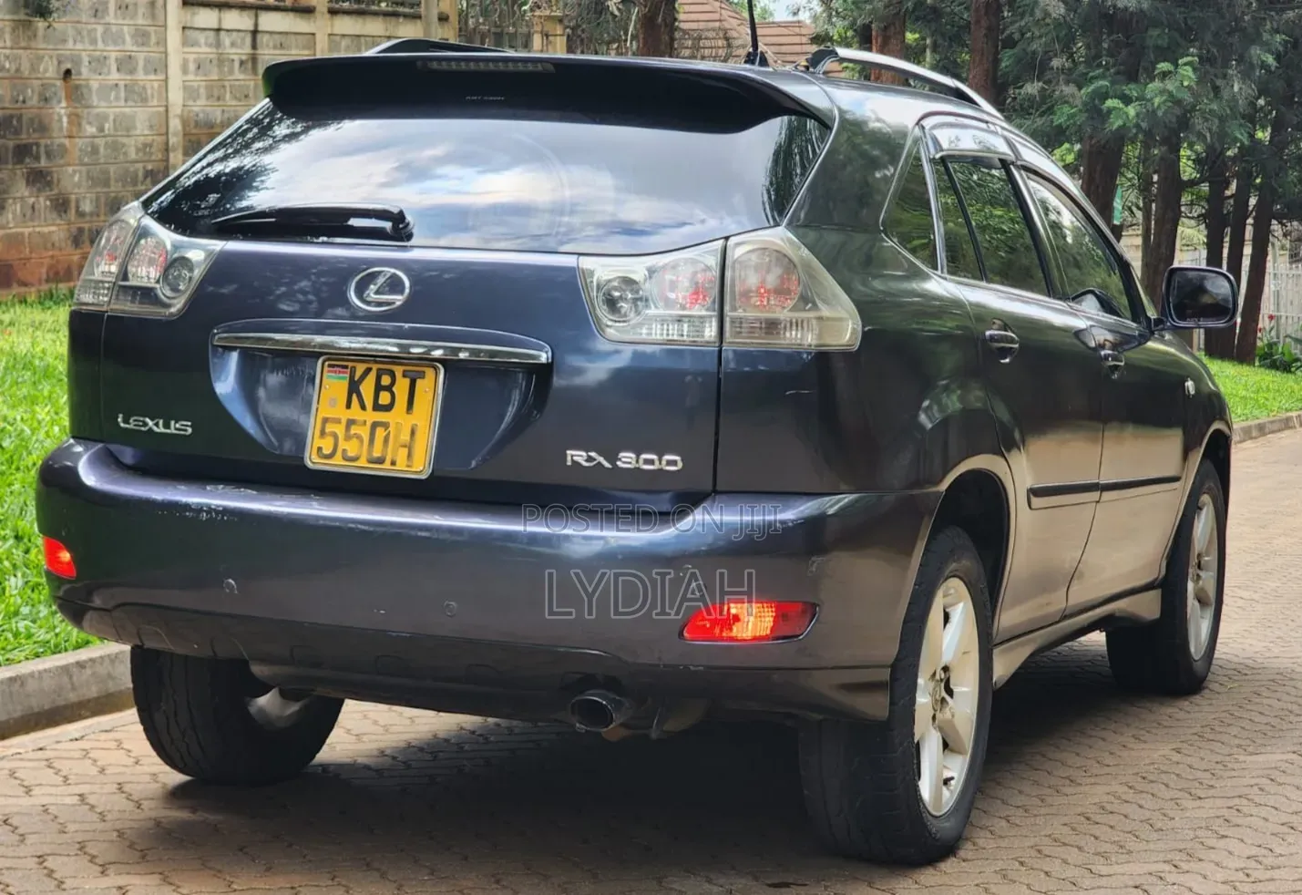 Lexus RX 2005 Blue
