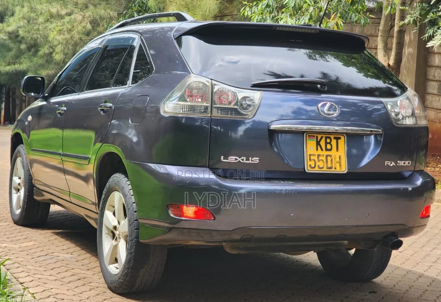 Lexus RX 2005 Blue