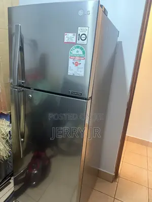 Lg 2 Door Fridge