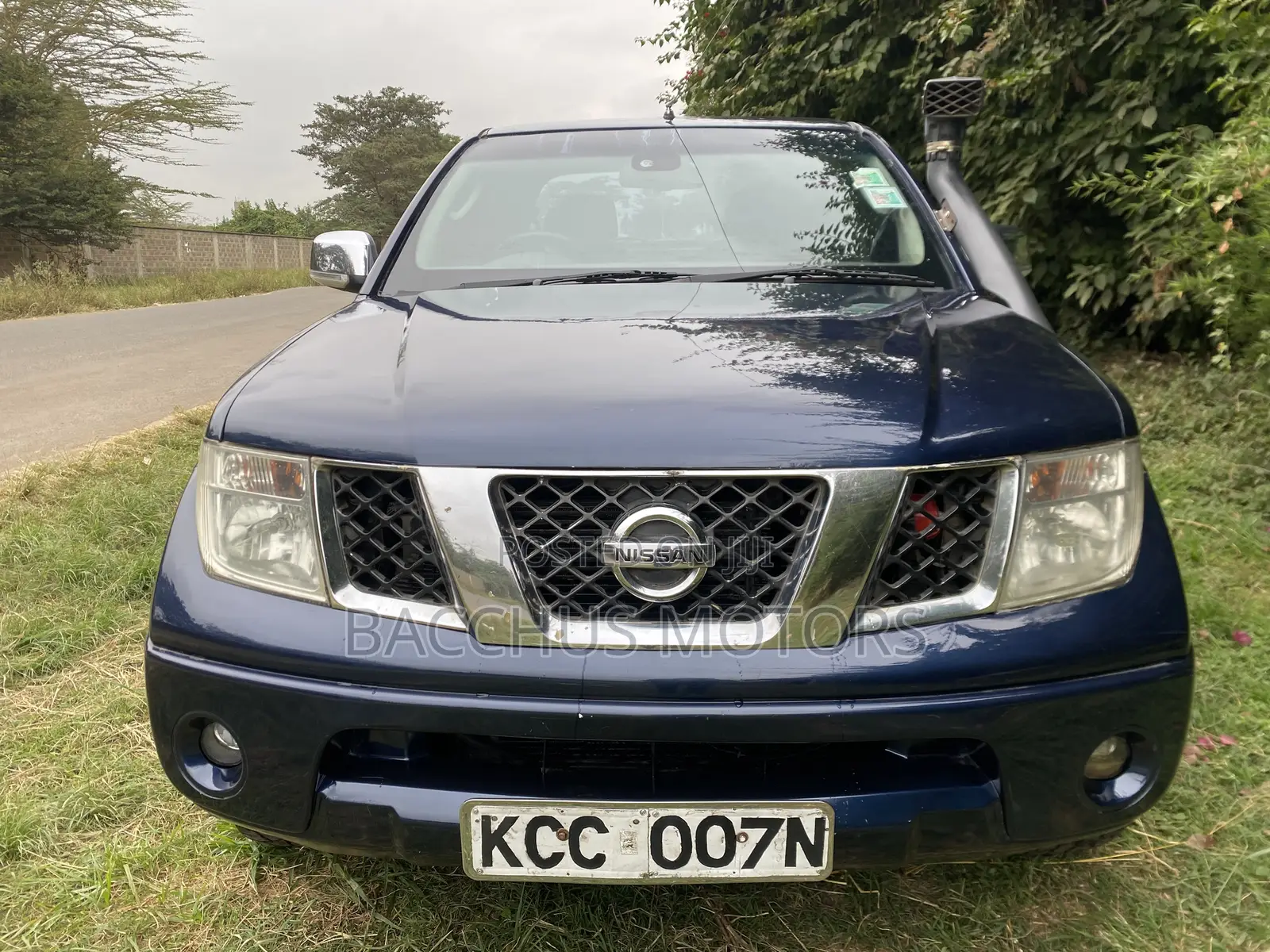 Nissan Navara 2008 Blue