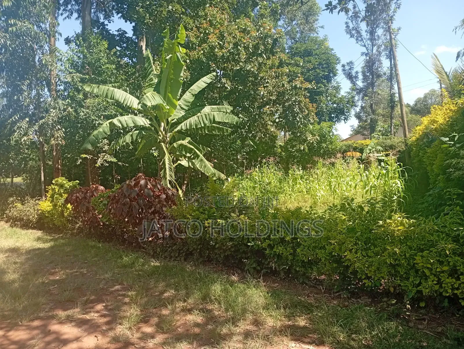Western Land for Sale