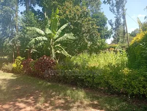 Western Land for Sale