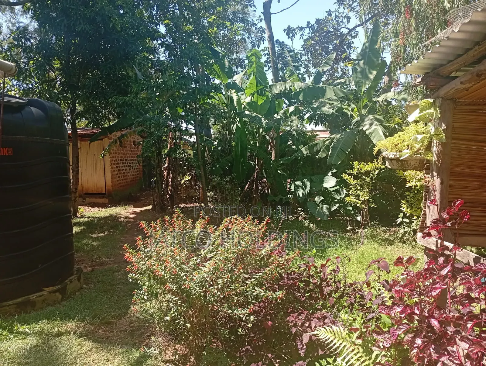 Western Land for Sale