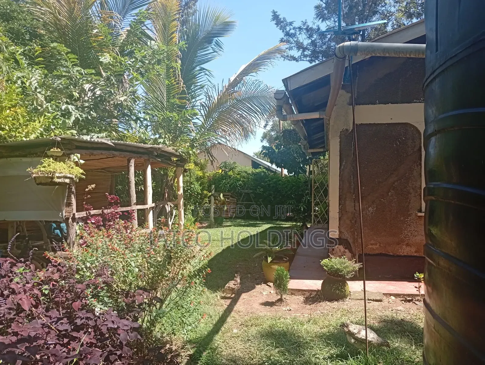 Western Land for Sale