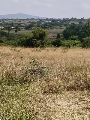 5.5 Acres at Mua Hills Just 1.5 Km Off the Tarmac Road