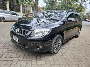 Toyota Corolla Fielder 2012 Matt Black