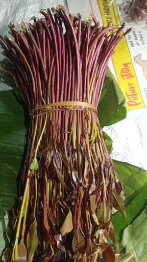 Miraa/Veve/Shambaĺ