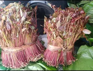 Miraa/Veve/Shambaĺ
