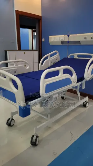3 Fuction/Crank Electric Bed