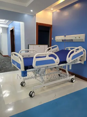 3 Fuction/Crank Electric Bed
