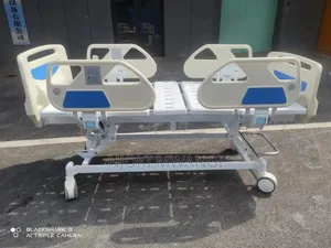 3 Fuction/Crank Electric Bed