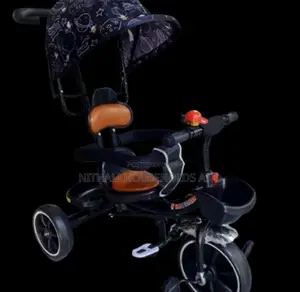 Children's Tricycle With Canopy and Push Handle