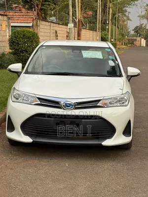 Toyota Axio 2019 White