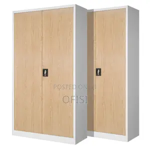 Office Cabinet; 2 Door Brown Metallic Office Cabinet