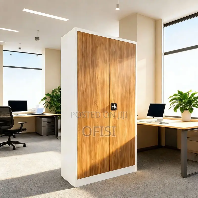 Office Cabinet; 2 Door Brown Metallic Office Cabinet