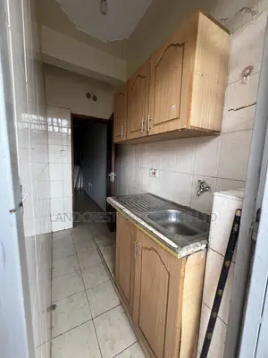 1bdrm Apartment in Roysambu for rent