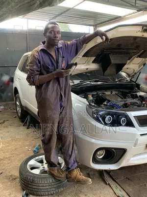 Diagnosis and Repairs
