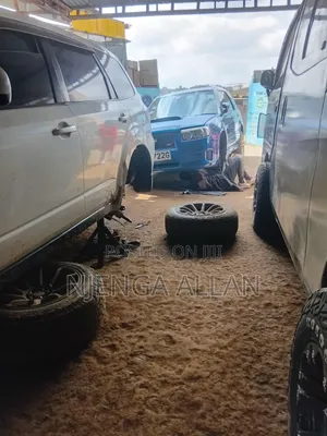 Diagnosis and Repairs