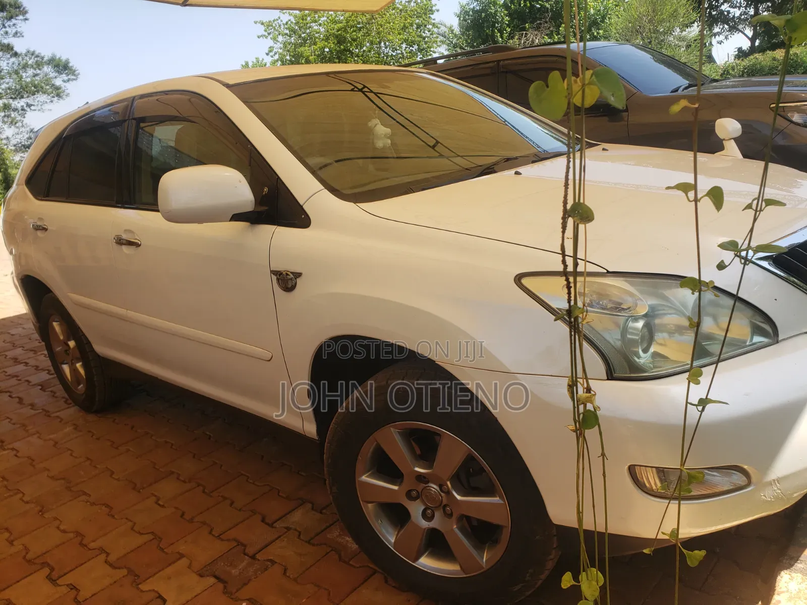 Toyota Harrier 2009 White