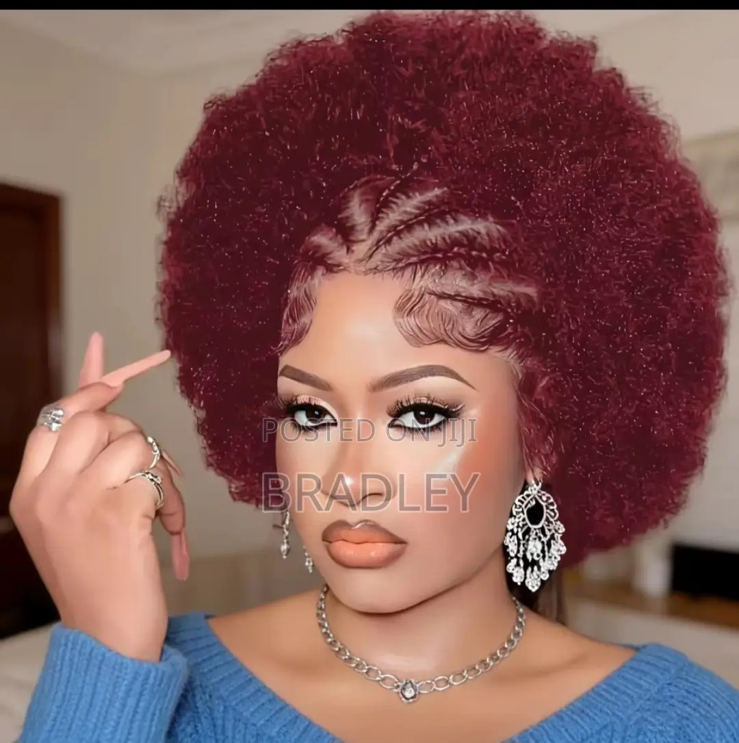 Front Braided Human Wigs