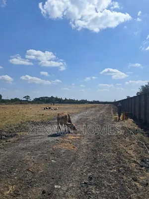 Juja Farm Munandaine Plots Sm*