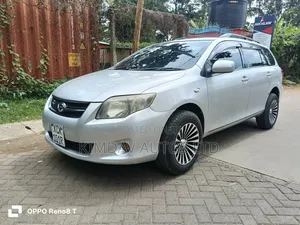 Toyota Corolla Fielder 2009 Silver