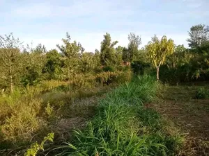 1 Acre Muranga County Ithanga Subcounty Kakuzi Mitibiri Ward 2.6m