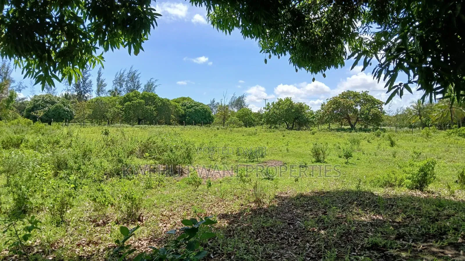 8 Acres Shimoni