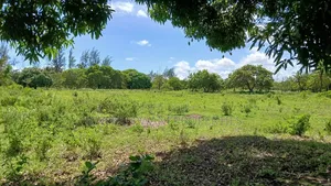 8 Acres Shimoni