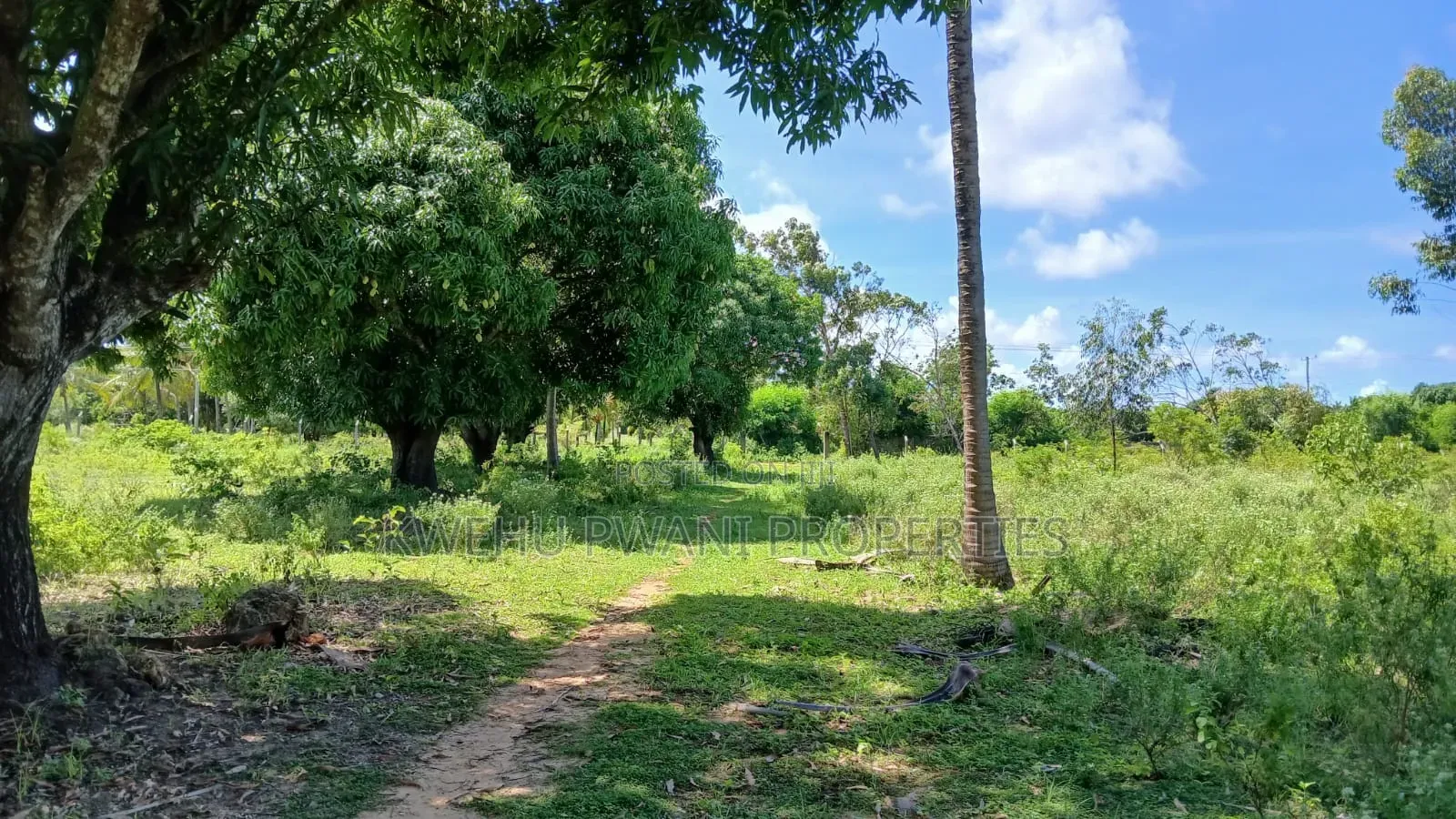 8 Acres Shimoni