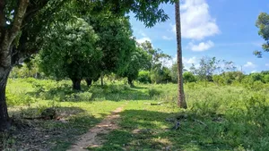8 Acres Shimoni