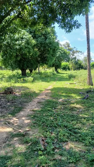 8 Acres Shimoni