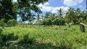 8 Acres Shimoni