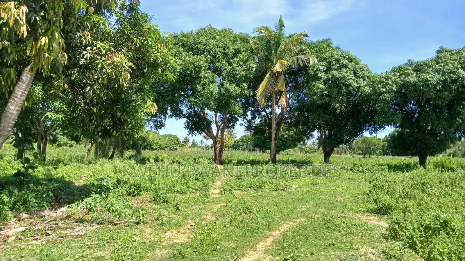 8 Acres Shimoni