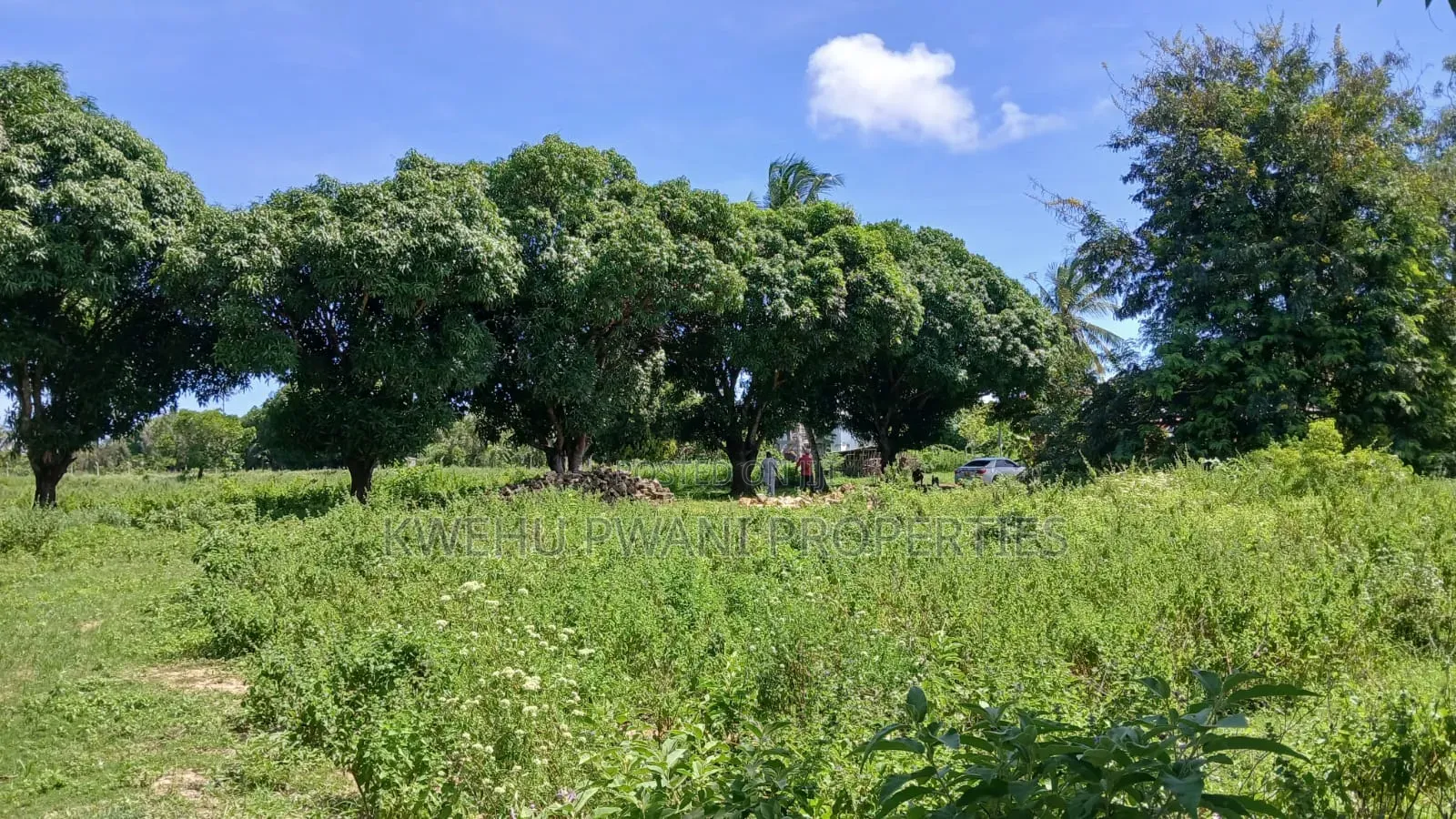 8 Acres Shimoni