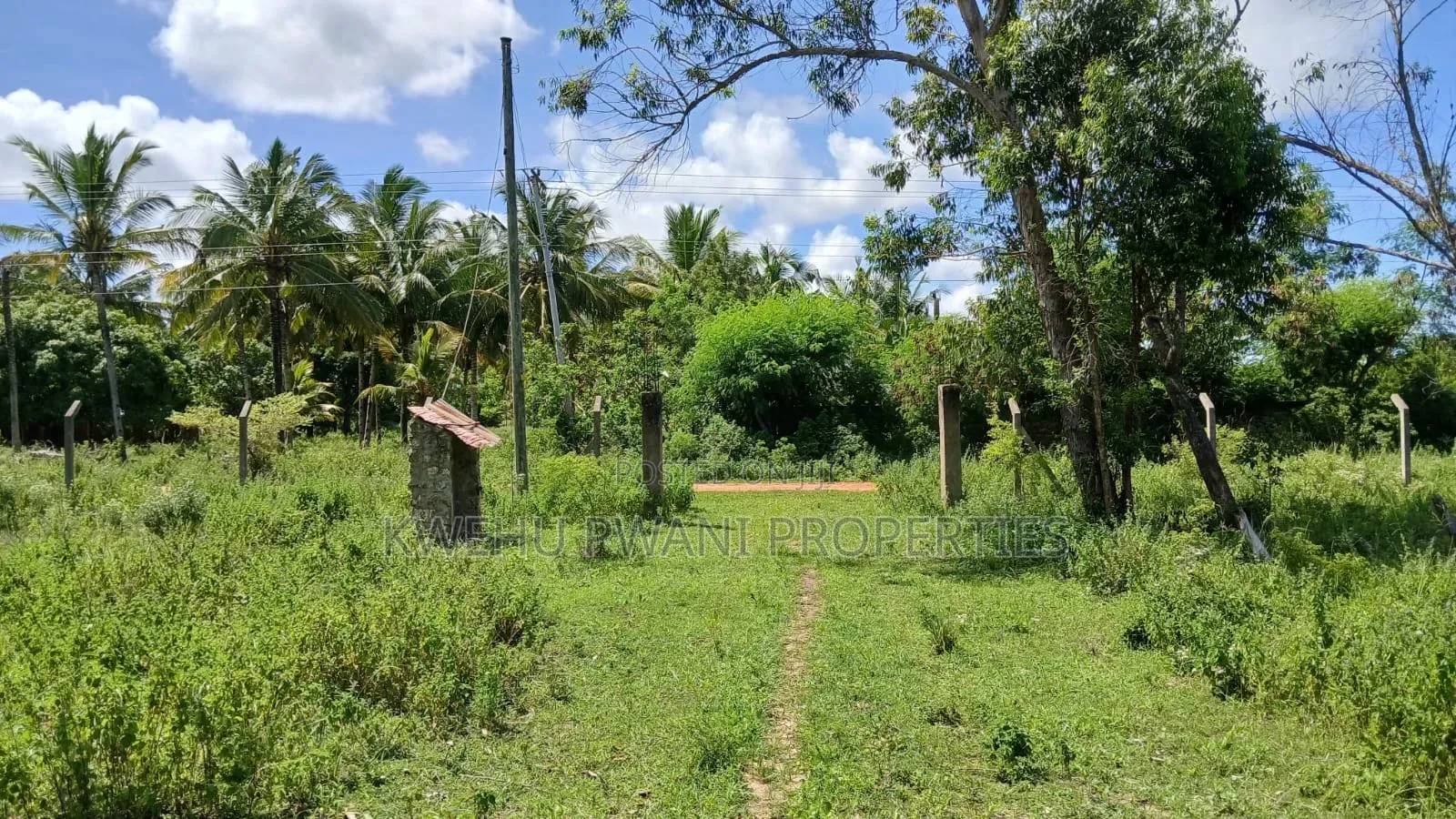 8 Acres Shimoni