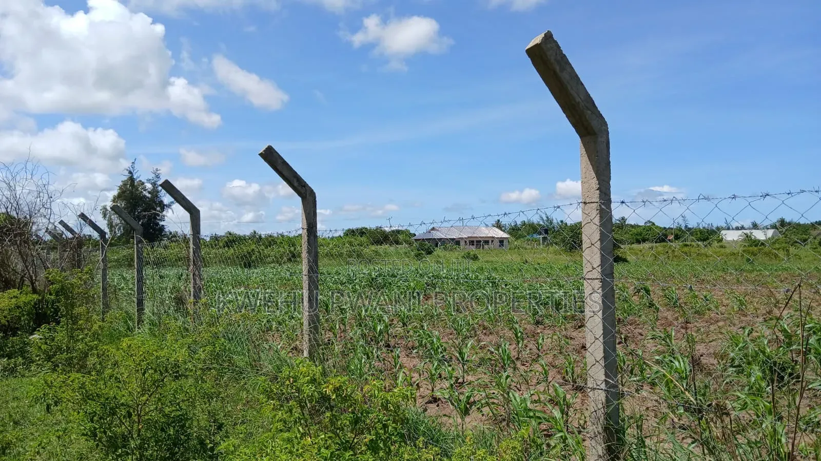 8 Acres Shimoni