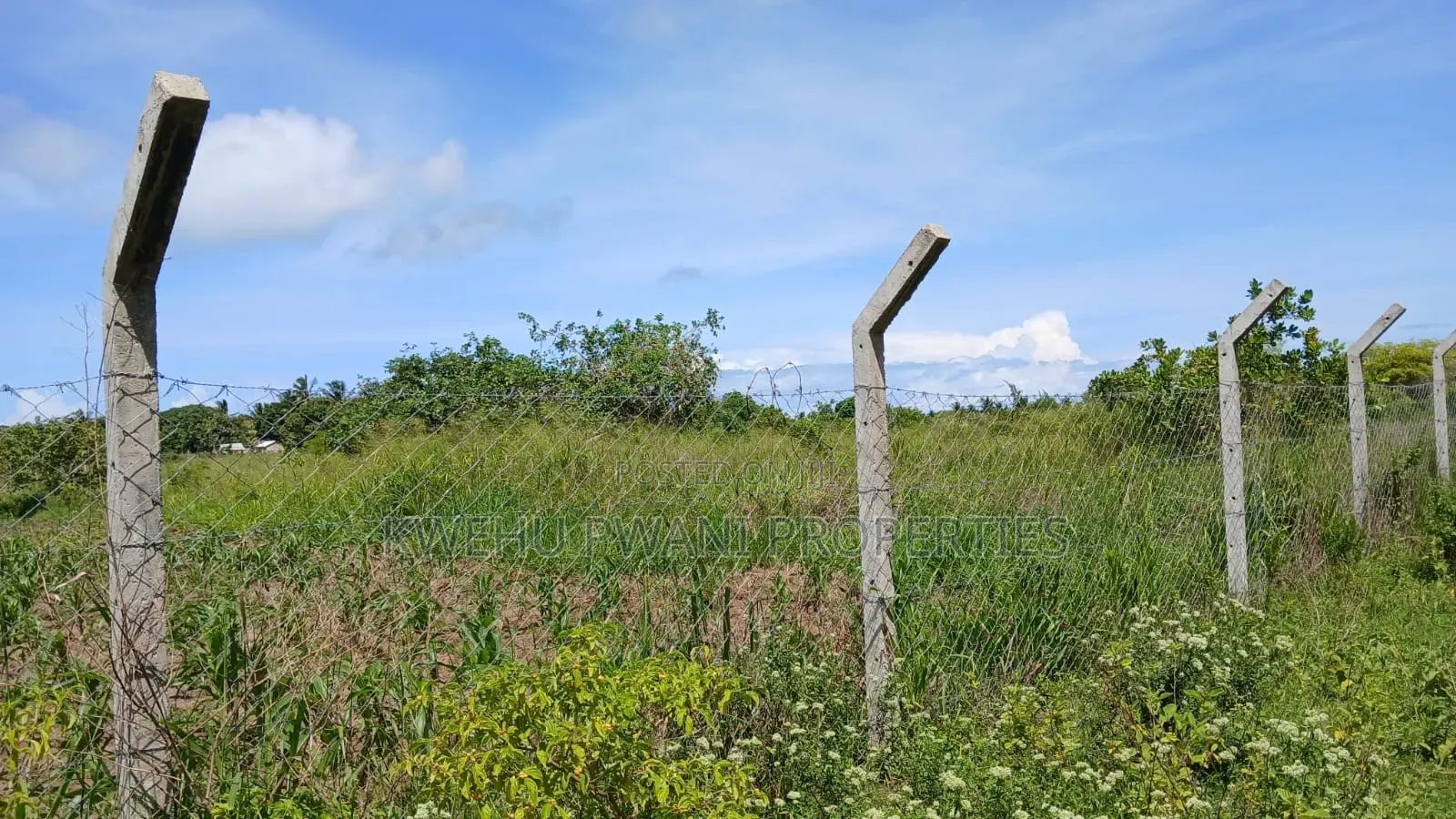 8 Acres Shimoni