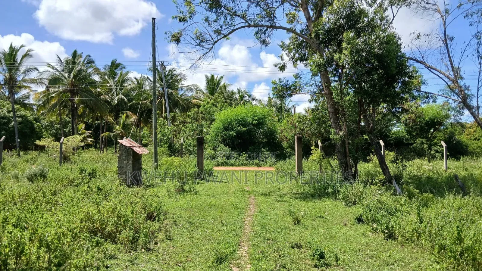 8 Acres Shimoni